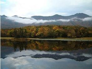 プランの魅力 知床五湖 (두 호수)의 단풍 の画像