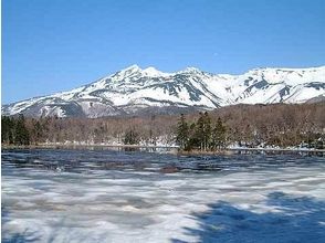 プランの魅力 知床五湖 (두 호수)의 봄 の画像