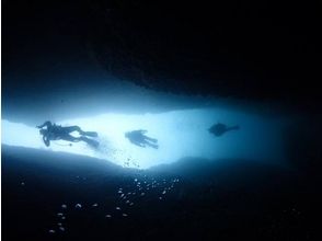 プランの魅力 在享受失重的水下世界的同時游泳 の画像