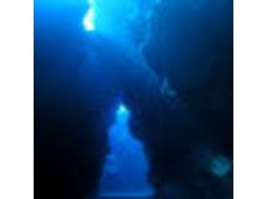 プランの魅力 科尔顿蓝色水下 の画像
