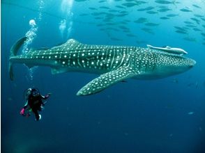 プランの魅力 ขนาดครอบงำและมีประสิทธิภาพ! の画像