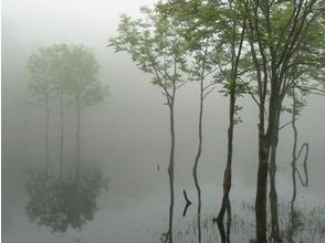 プランの魅力 霧のポンホロ沼 の画像