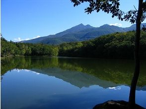 プランの魅力 知床五湖の夏 の画像