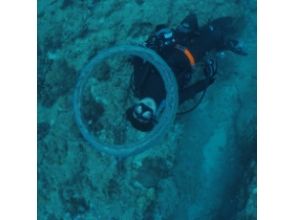 プランの魅力 海滩潜水 の画像