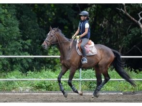 プランの魅力 The best plan to experience the charm of horseback riding の画像