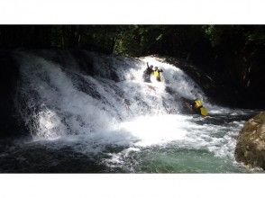 プランの魅力 河鹿の滝では、ｼｬﾜｰｸﾗｲﾐﾝｸﾞｸﾞに挑戦！！ の画像