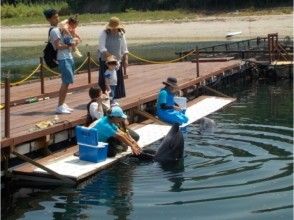 プランの魅力 海豚就在您的面前！ !! の画像