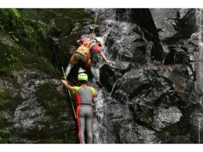 プランの魅力 您还可以观看鱼并在水池中游泳。 の画像