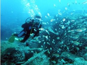 プランの魅力 The blue sea of Koganezaki の画像