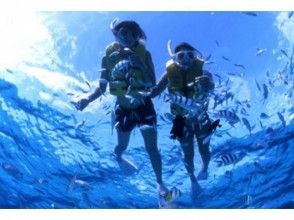 プランの魅力 Guided snorkeling tour の画像