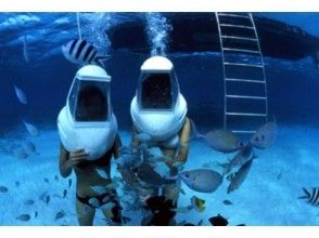 プランの魅力 海でかぶりもの!オーシャンウオーク! の画像