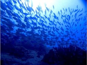 プランの魅力 沖縄の海は場所によって地形もさまざま の画像