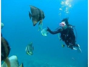 プランの魅力 열대 물고기들은 상냥한 の画像