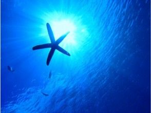 プランの魅力  の画像