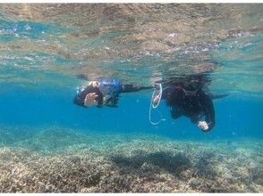 プランの魅力 Coral reef below the surface of the water の画像