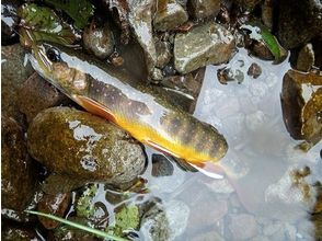 プランの魅力 使用無倒鉤的鉤子（無倒刺的針） の画像