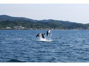 プランの魅力 决定动态跳跃！ の画像