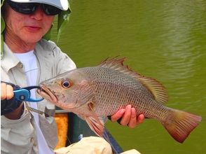 プランの魅力 様々な種類の魚があなたを待っています の画像