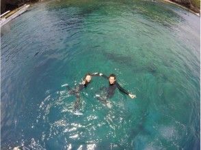 プランの魅力 umi海 の画像