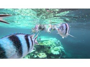 プランの魅力  の画像