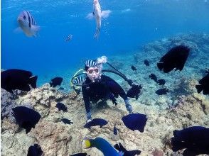 プランの魅力 写真データは全て無料プレゼント の画像
