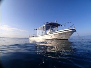 プランの魅力 Diving boat の画像