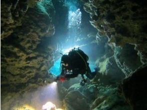 プランの魅力 The best part of night diving の画像