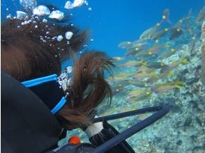 プランの魅力 Safe for beginners with beach entry の画像