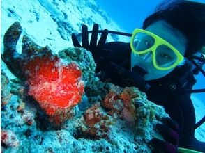 プランの魅力 The best plan for the introduction of diving の画像