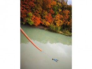 プランの魅力 秋限定の紅葉ブリッジスウィング の画像