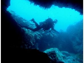 プランの魅力 ダイナミックな地形を潜れるポイントもあります の画像