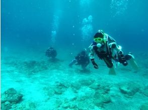 プランの魅力 路堤內的平靜潛水點 の画像