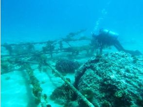 プランの魅力 The sunken farmed raft becomes a fishing reef, and various creatures can be seen. の画像