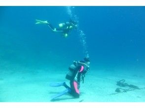 プランの魅力 白い砂地の海底。どこまでも澄んだ海。 の画像