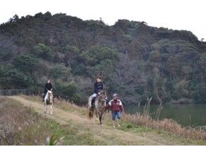 プランの魅力 Gentle horses are waiting! の画像