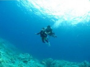 プランの魅力 海の中の世界へようこそ！ の画像