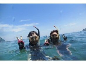 プランの魅力 You can see coral reefs on the seabed の画像