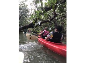 こんな細く狭い水路も※満潮時間帯限定！