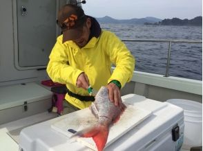 海の幸を堪能