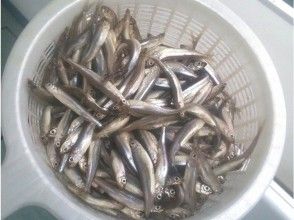 The Sun we can catch so much! What?