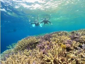 沖縄・宮古島】気軽にトライ可！八重干瀬（ヤビジ）半日ボート