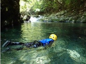 お魚いるかな？