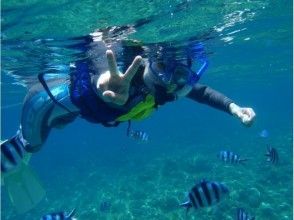 Puka Puka Churaumi experience in shallow water!