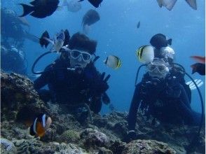 お魚いっぱい海中散歩♪