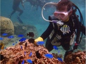 You can also feed! Surrounded by tropical fish