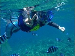 얕은 물에서 둥둥 츄라 우미 체험!