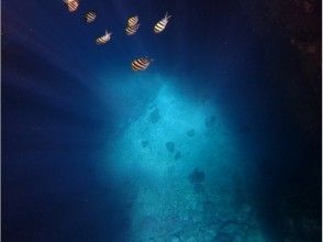 드디어 푸른 동굴에