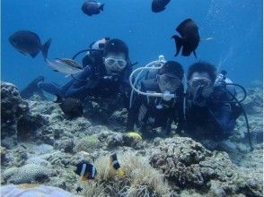 Underwater walk full of fish ♪