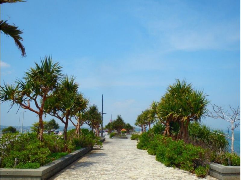 海中道路ビーチ集合(受付)