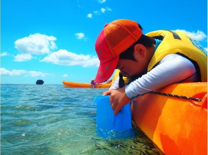 箱メガネで海の中を観察☆